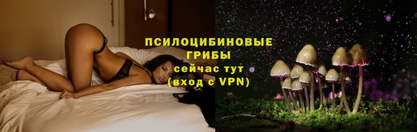 не бодяженный Дмитров