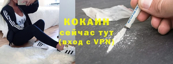 мескалин Ельня