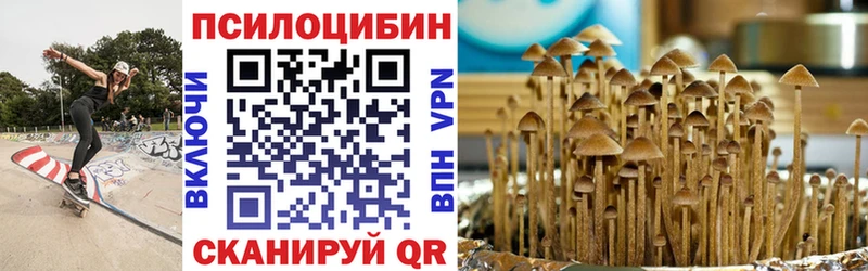 купить  цена  Глазов  Псилоцибиновые грибы Magic Shrooms 